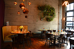 THE LUSTY VEGAN COOKBOOK